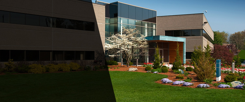 Palm City Landscapers